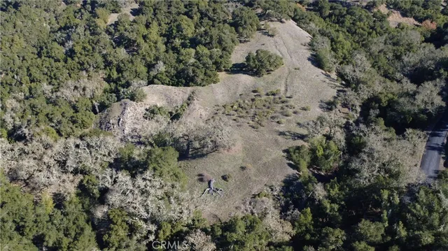 a view of a dry yard with lots of trees