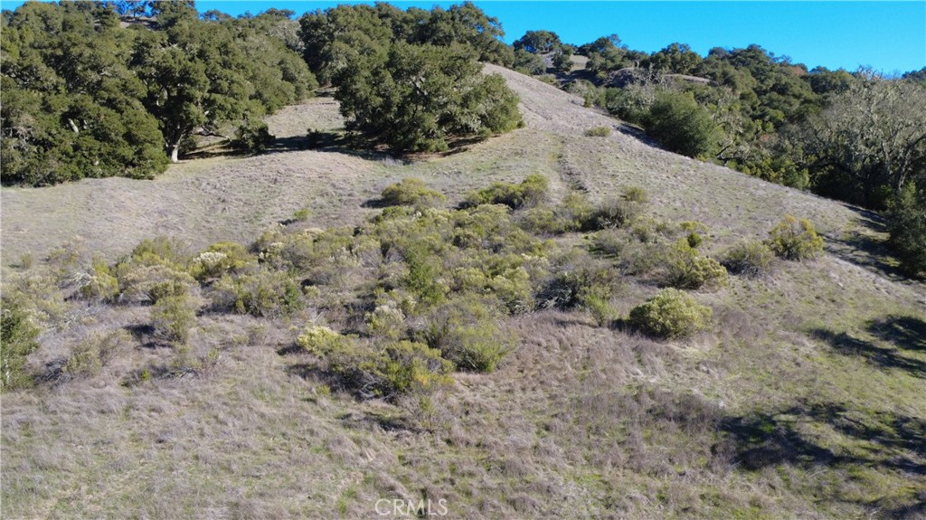 0 El Monte Road Templeton, CA 93465 - Photo 9 of 11