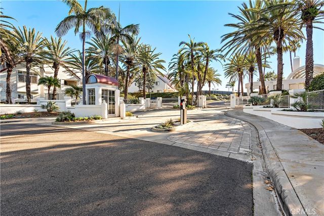 a view of road with palm trees
