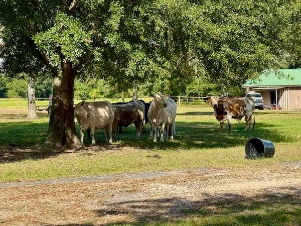 $850,000 | 545 Farm To Market 834, Liberty, TX 77575