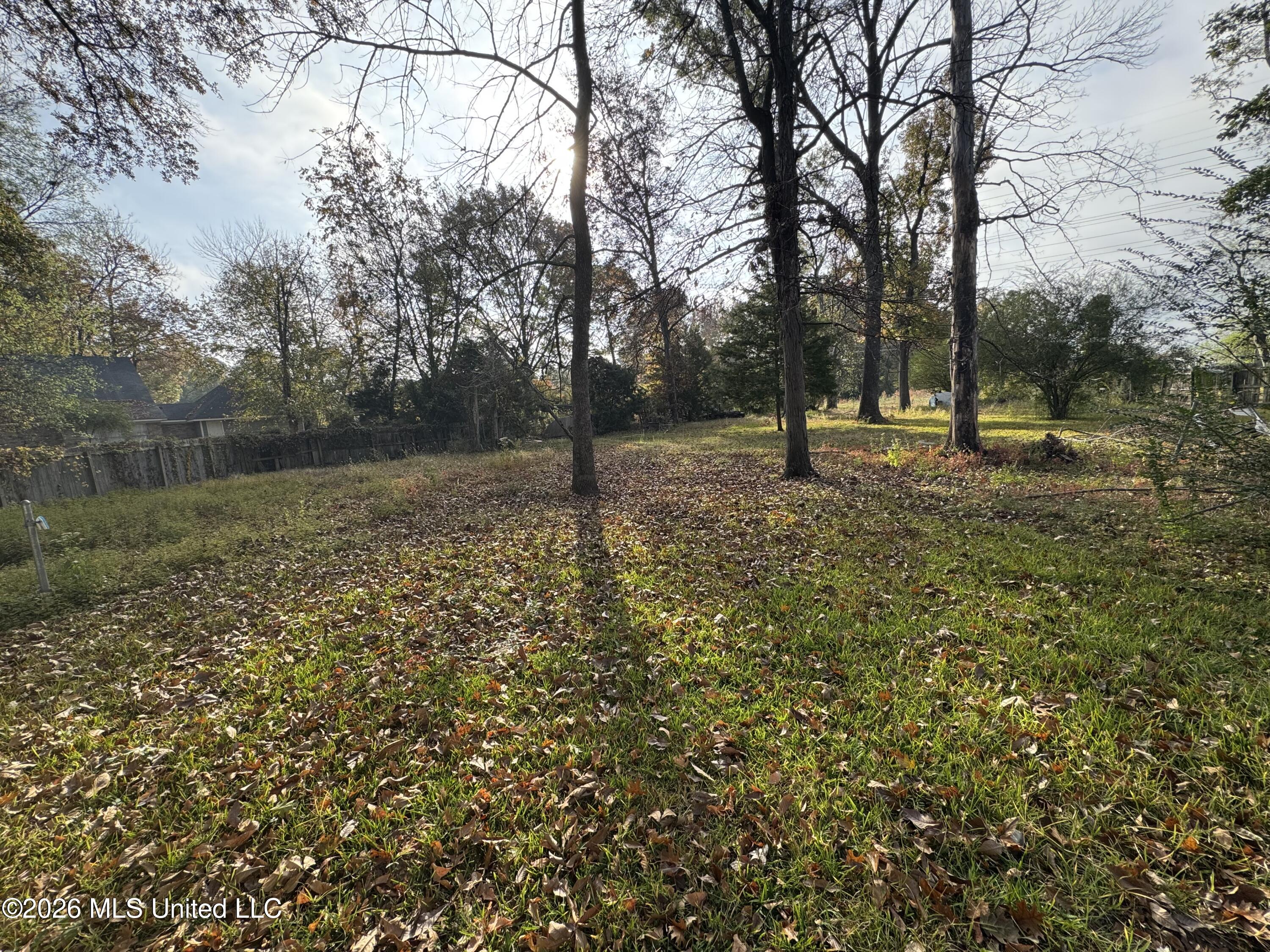 655 Ralde Circle Ridgeland, MS 39157 - Photo 23 of 28 Backyard
