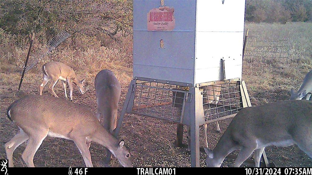 11020 Highway 281 Perrin, TX 76486 - Photo 20 of 22