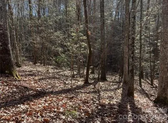 $74,999 | 0 Twin Maple Way, Unit 5, Mill Spring, NC 28756
