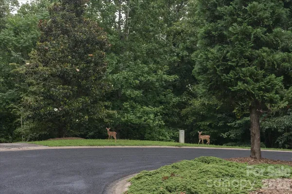 $74,999 | 0 Twin Maple Way, Unit 5, Mill Spring, NC 28756