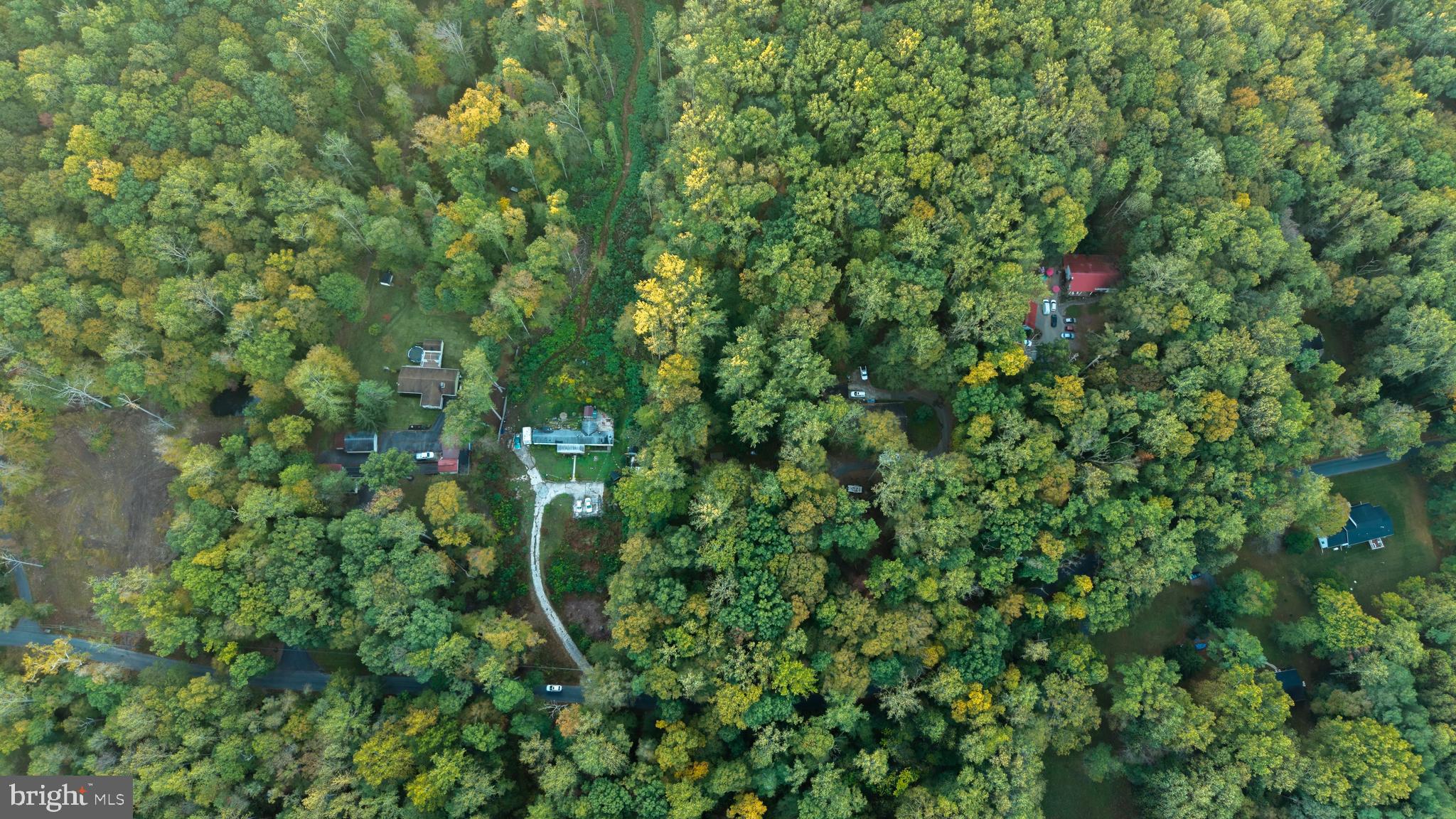 3131 Tucker Road Street, MD 21154 - Photo 11 of 11 a view of a lush green forest with a tree