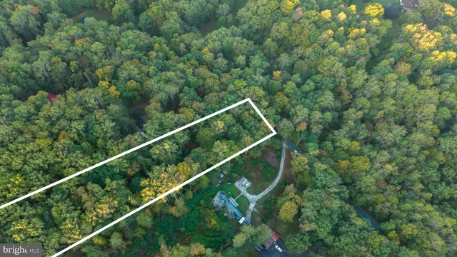 a backyard of a house with lots of plants and trees