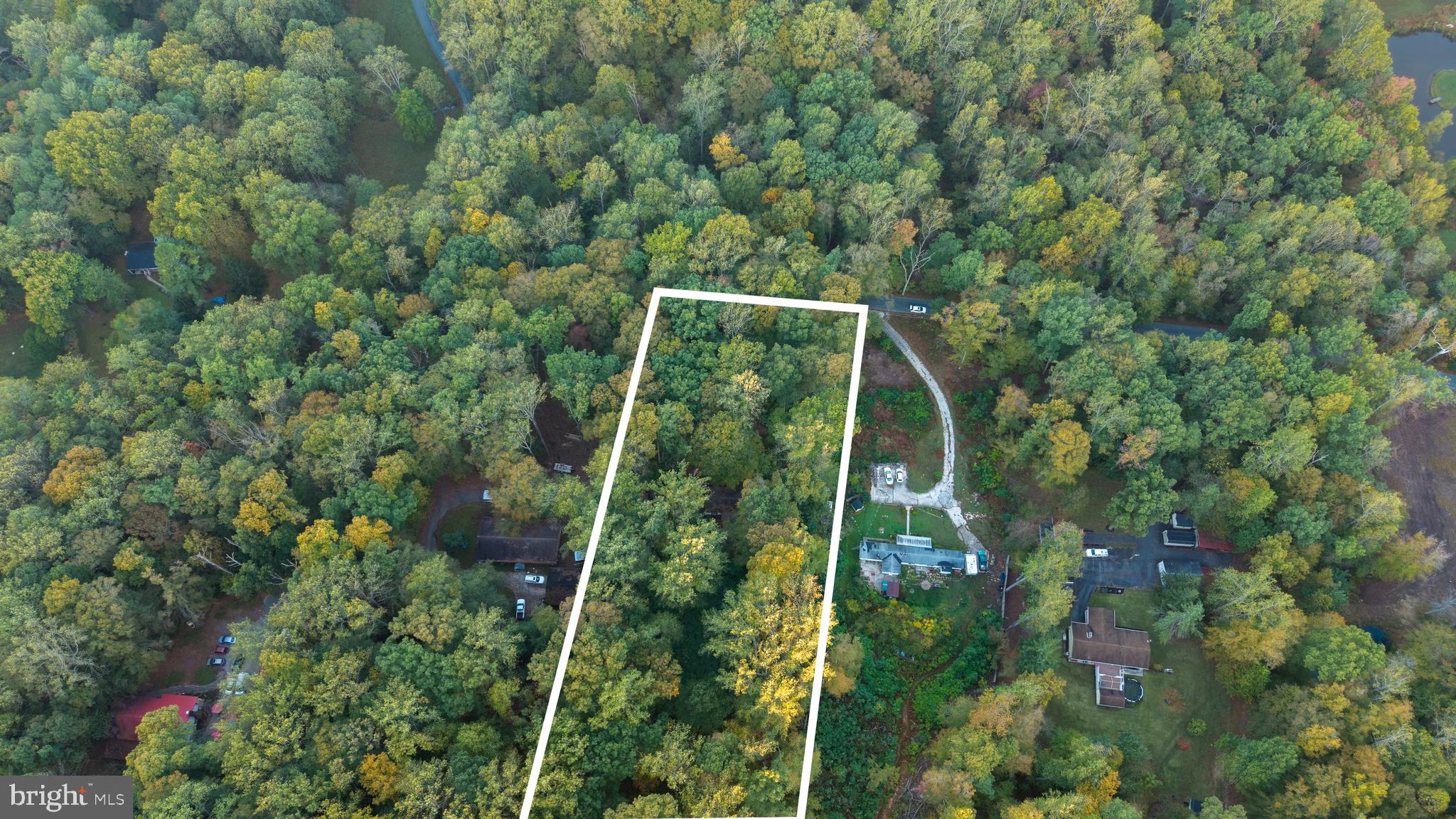 3131 Tucker Road Street, MD 21154 - Photo 5 of 11 a backyard of a house with lots of plants and trees