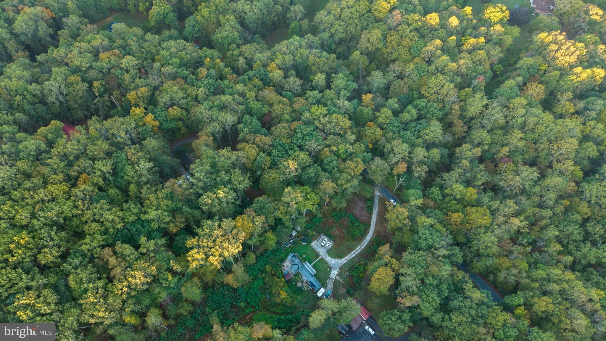 3131 Tucker Road Street, MD 21154 - Photo 8 of 11 an aerial view of residential house with outdoor space and trees all around