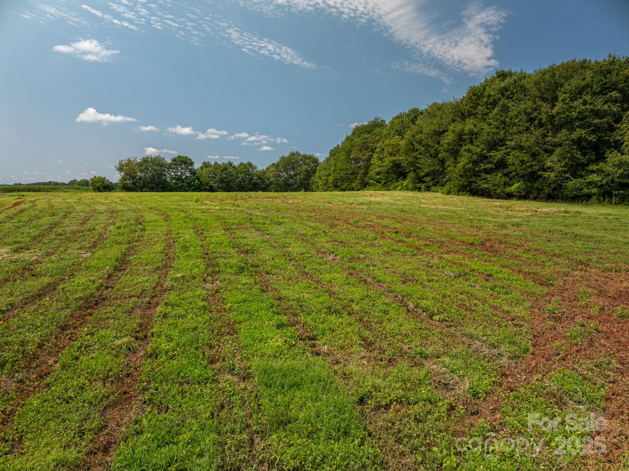 Lot 8-809 Eagle View Lane Lawndale, NC 28090 - Photo 2 of 12 a view of an ocean and a yard