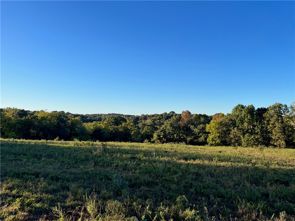 Parks Road Harrison, AR 72601 - Photo 14 of 18 Gallery Image 14
