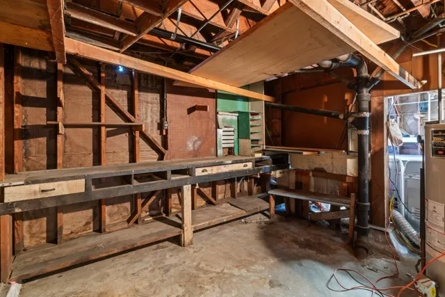 a view of a park with large trees