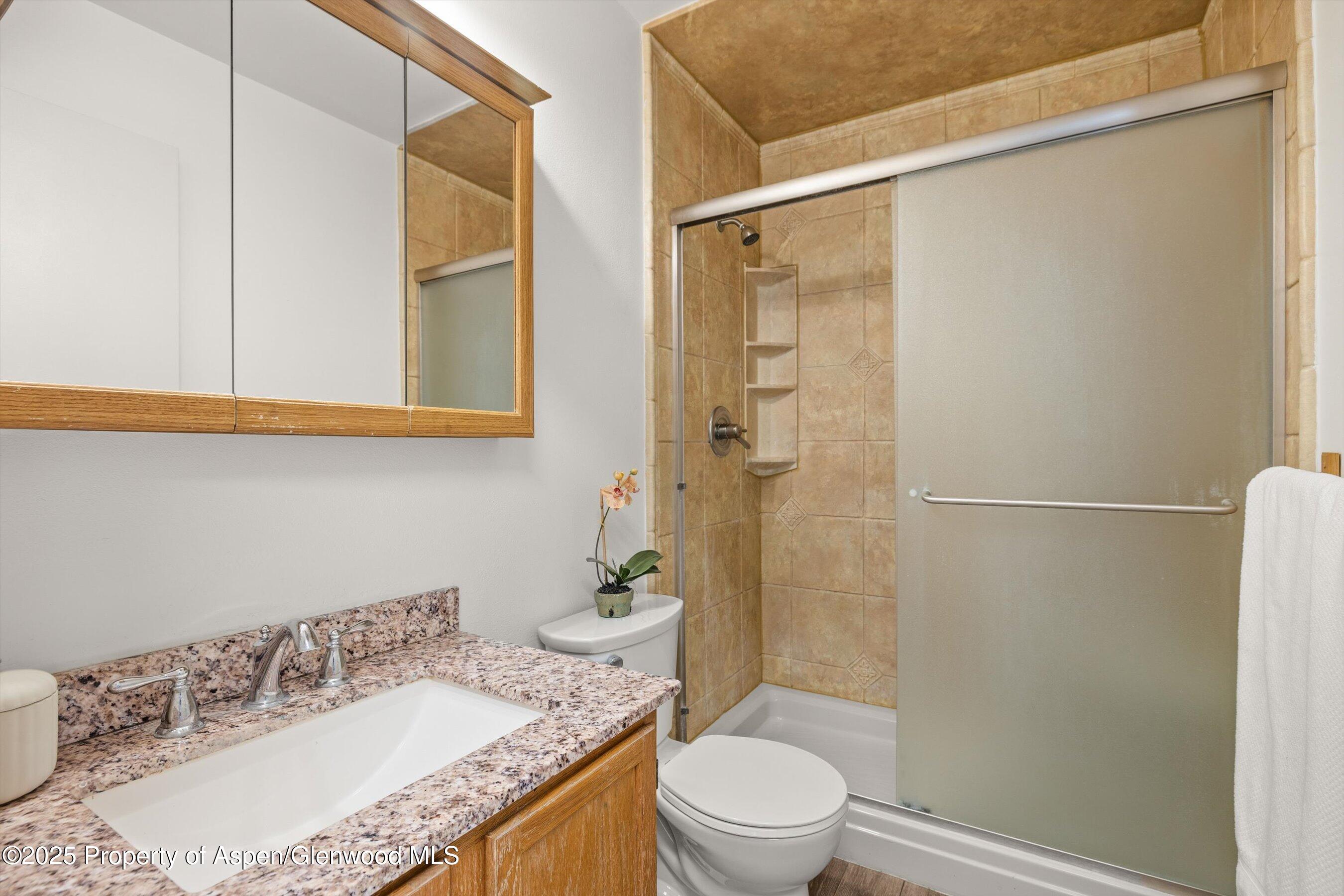 128 Hopi Carbondale, CO 81623 - Photo 27 of 43 Guest bathroom