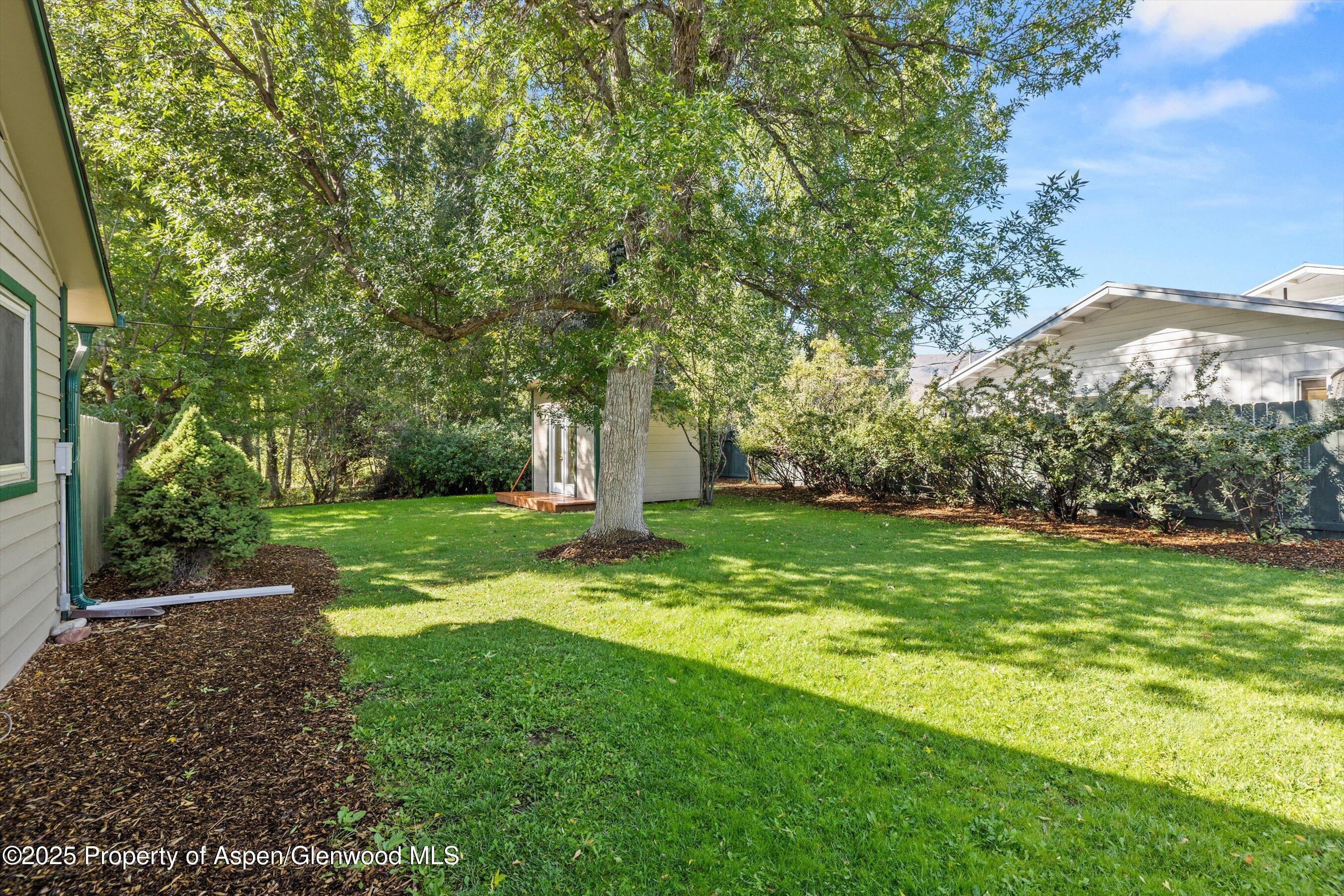 128 Hopi Carbondale, CO 81623 - Photo 32 of 43 Side yard