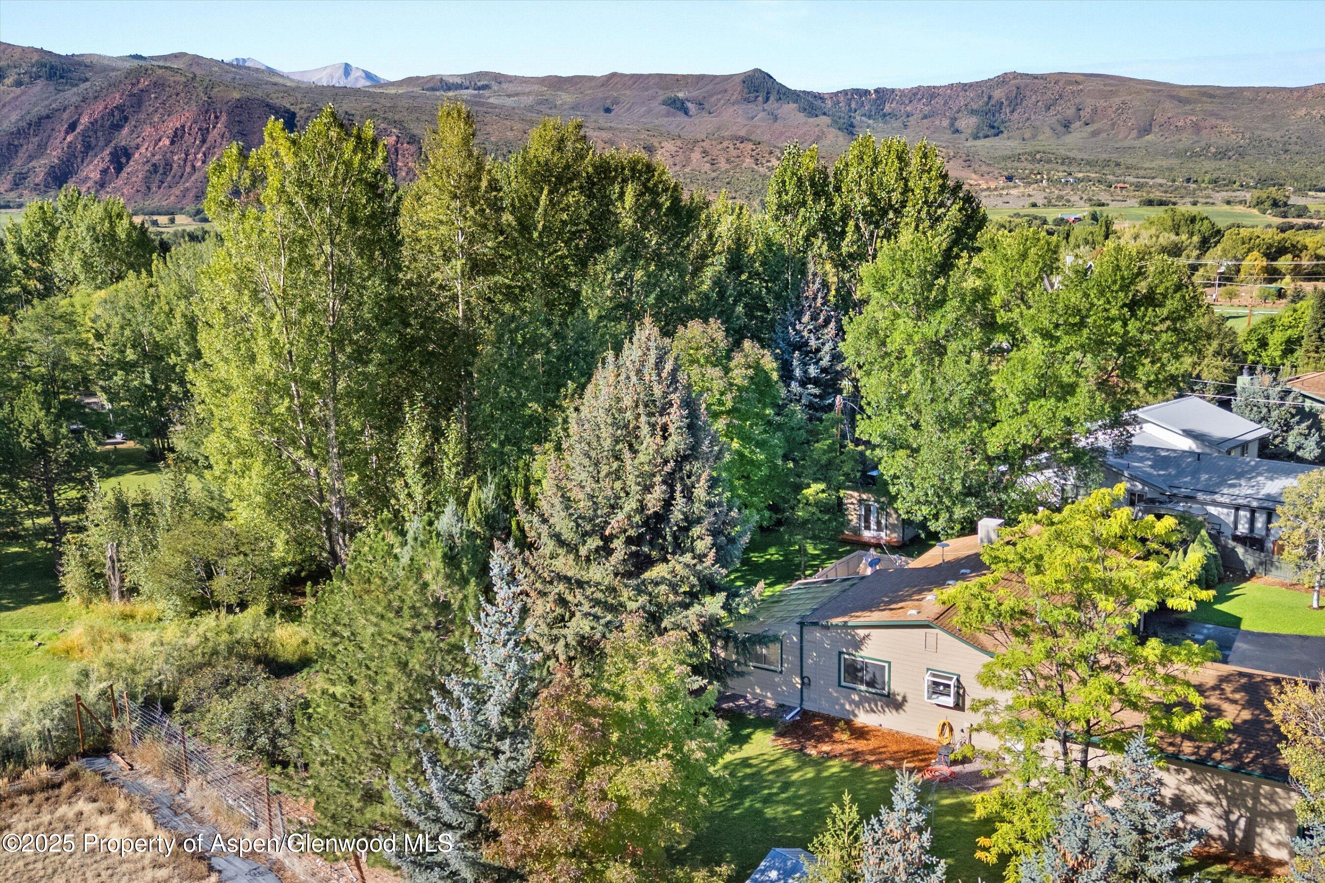 128 Hopi Carbondale, CO 81623 - Photo 4 of 43 Mature trees