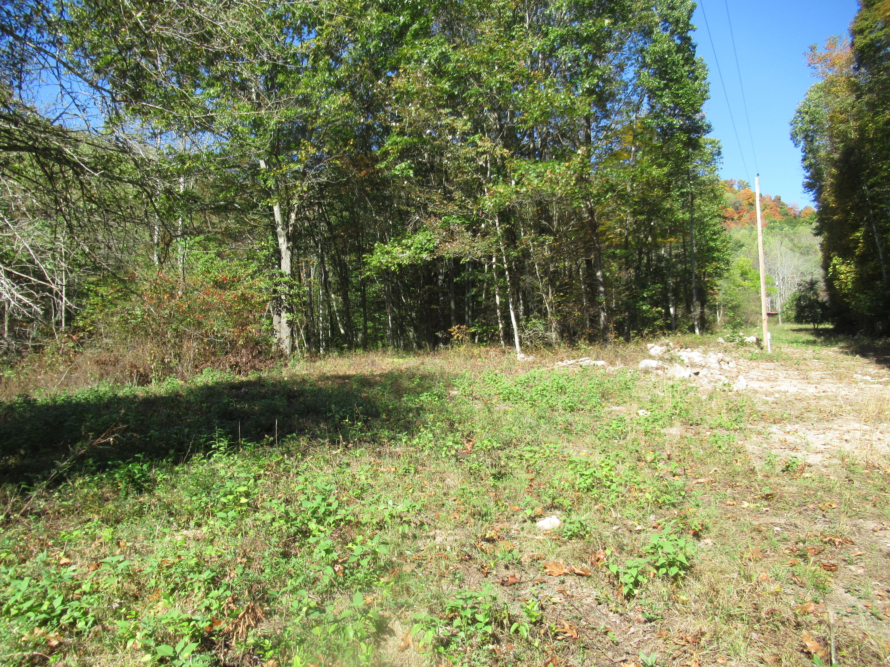 George Ballengee Road Alderson, WV 24910 - Photo 13 of 17 Gallery Image 13