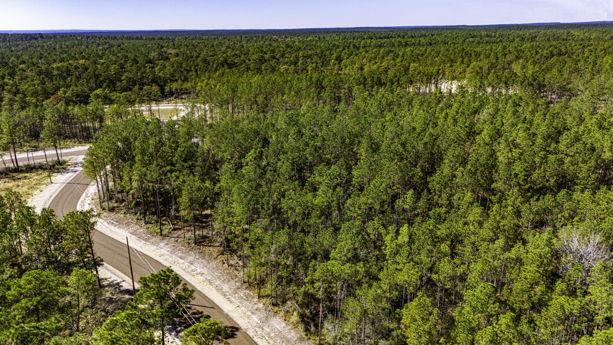 311 Magnolia Ranch Road Onalaska, TX 77360 - Photo 5 of 14