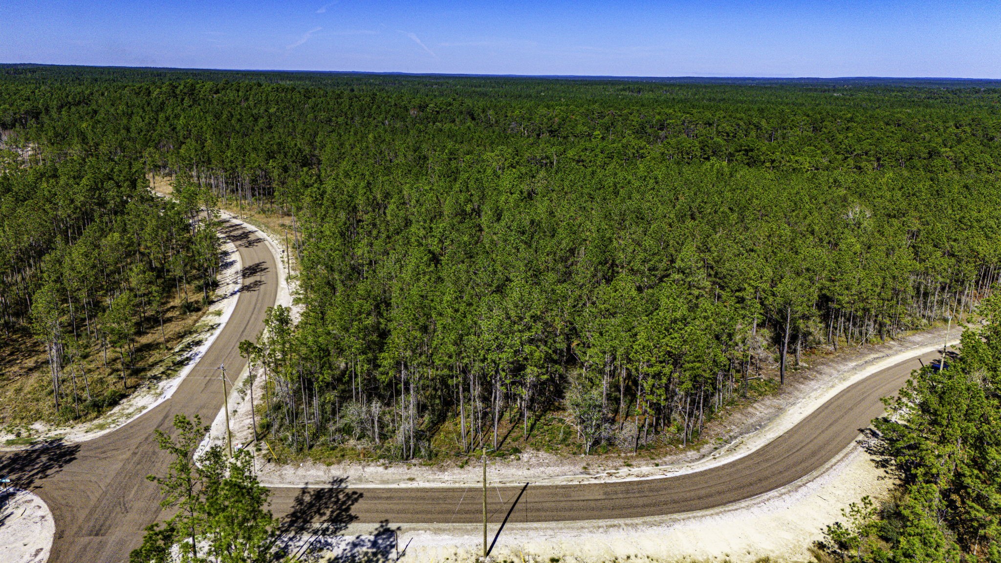 311 Magnolia Ranch Road Onalaska, TX 77360 - Photo 6 of 14