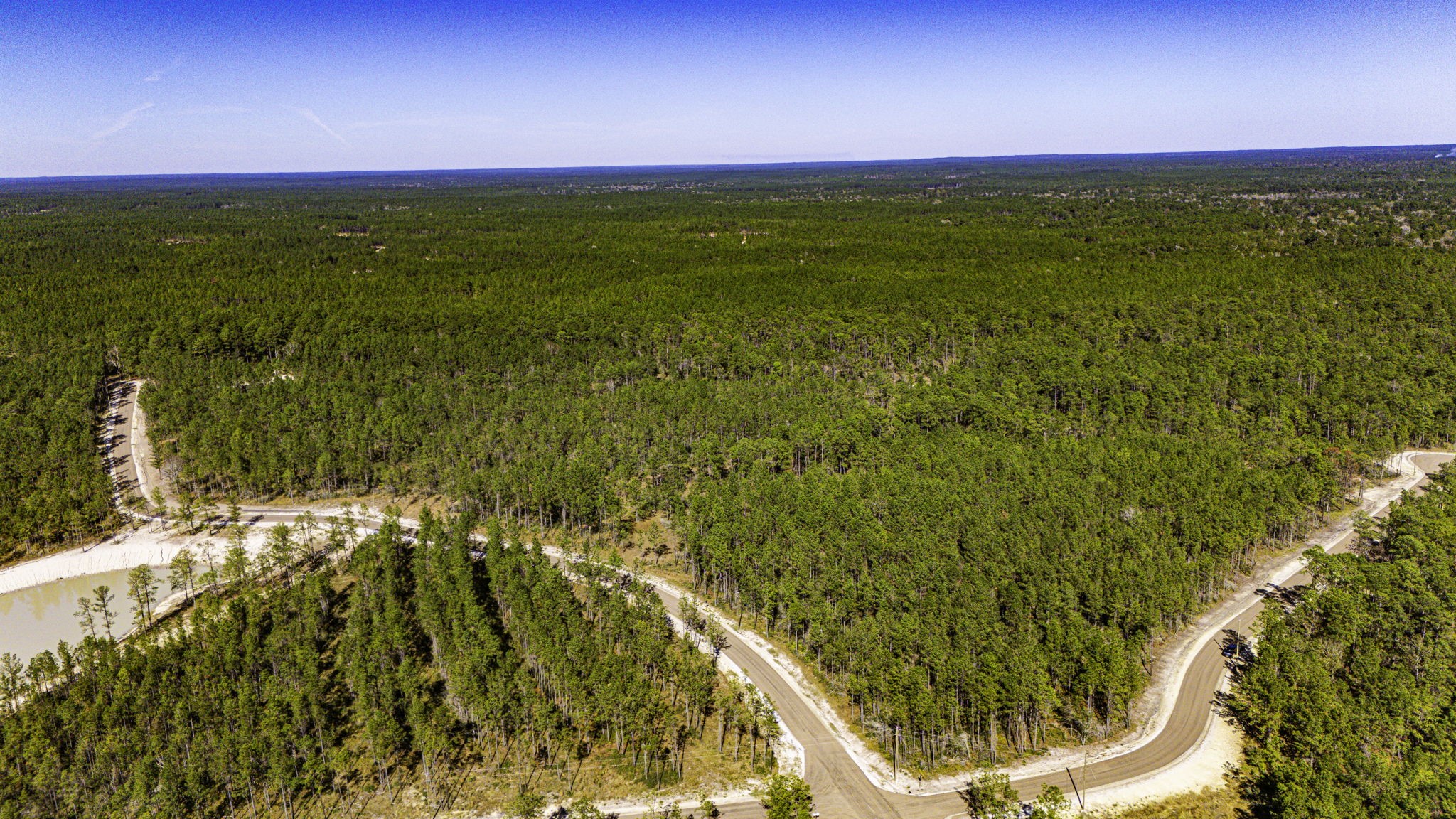 311 Magnolia Ranch Road Onalaska, TX 77360 - Photo 8 of 14