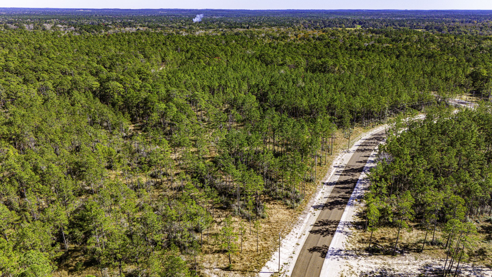 311 Magnolia Ranch Road Onalaska, TX 77360 - Photo 9 of 14