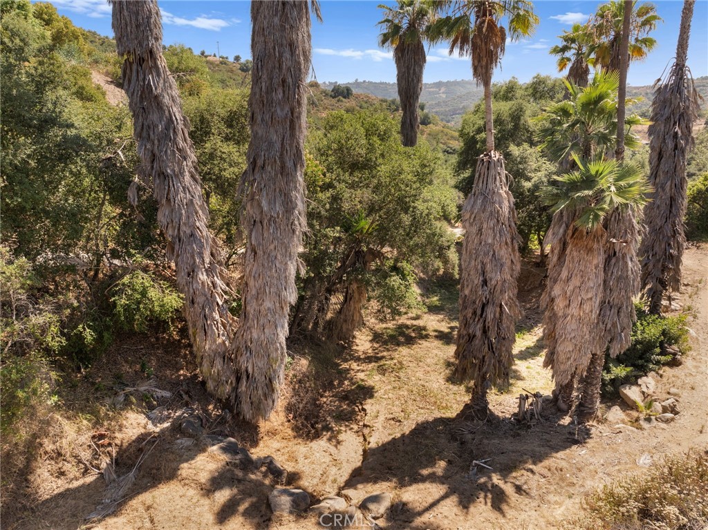 879 Stewart Canyon Road Fallbrook, CA 92028 - Photo 44 of 75 Pond