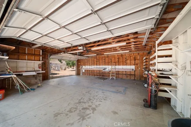 a view of a yard with plants and trees