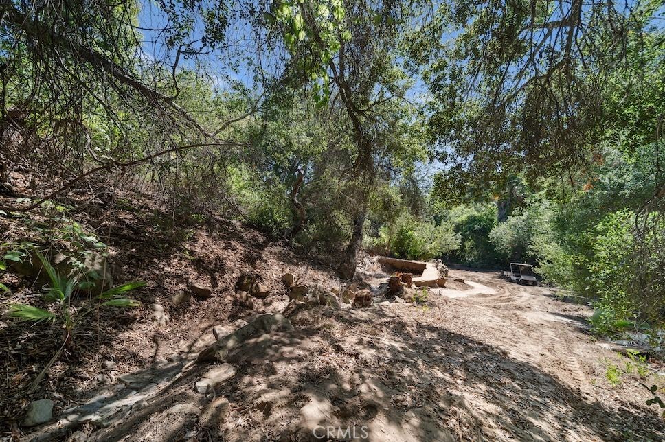 879 Stewart Canyon Road Fallbrook, CA 92028 - Photo 63 of 75 a view of a outdoor space with a tree