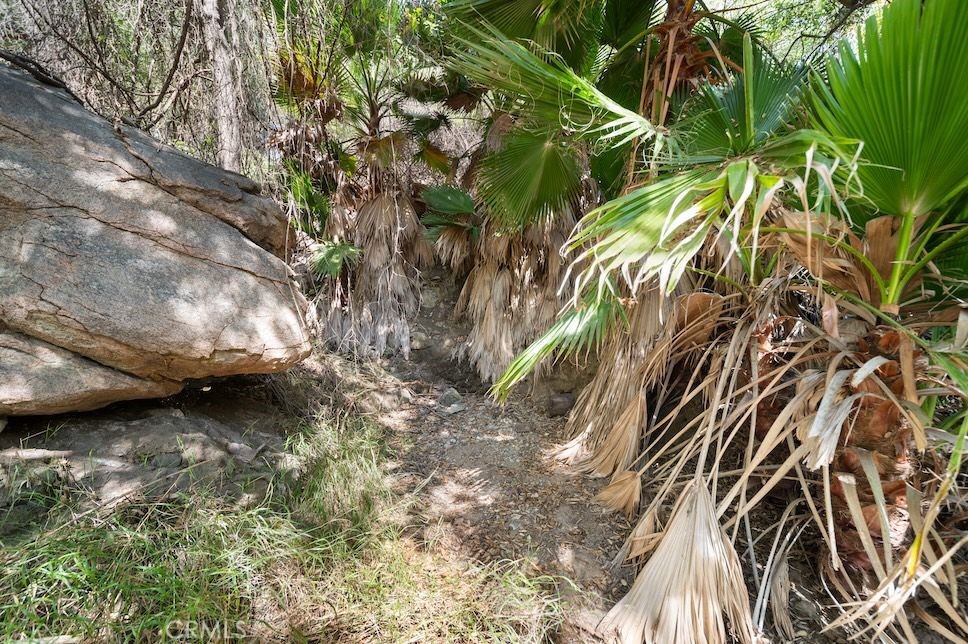 879 Stewart Canyon Road Fallbrook, CA 92028 - Photo 64 of 75 a view of a yard