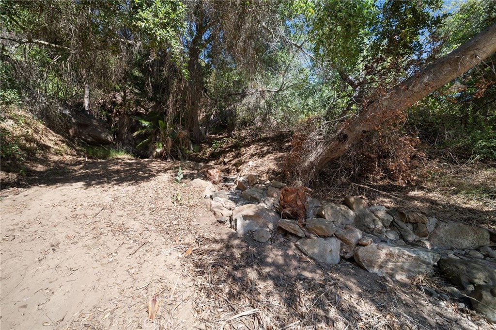 879 Stewart Canyon Road Fallbrook, CA 92028 - Photo 65 of 75 a view of a yard with a tree