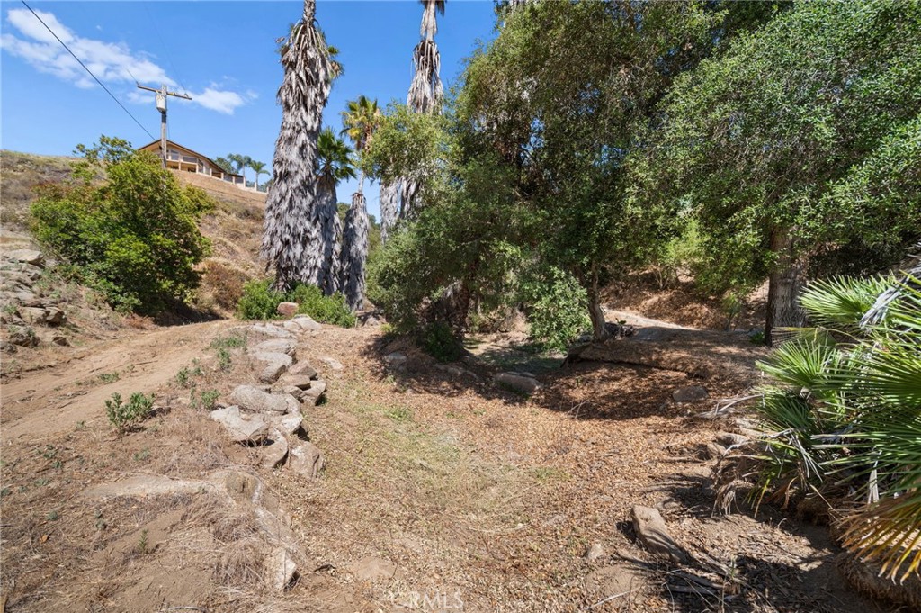 879 Stewart Canyon Road Fallbrook, CA 92028 - Photo 68 of 75 a view of a yard with plants and trees