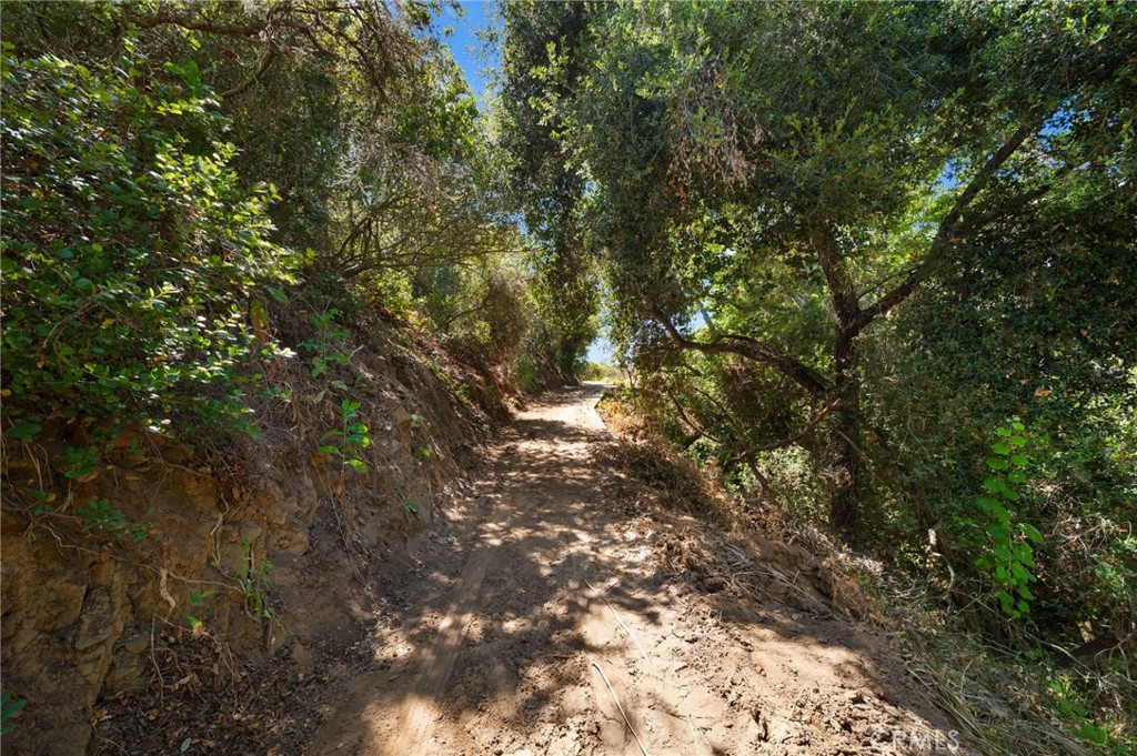 879 Stewart Canyon Road Fallbrook, CA 92028 - Photo 69 of 75 Property roads