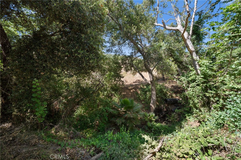 879 Stewart Canyon Road Fallbrook, CA 92028 - Photo 70 of 75 Creek area