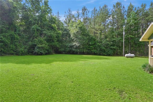 29416 B J Carter Road Angie, LA 70426 - Photo 4 of 25