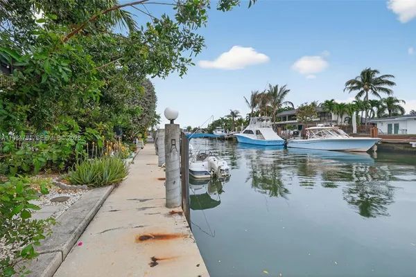 a lake view with palm trees