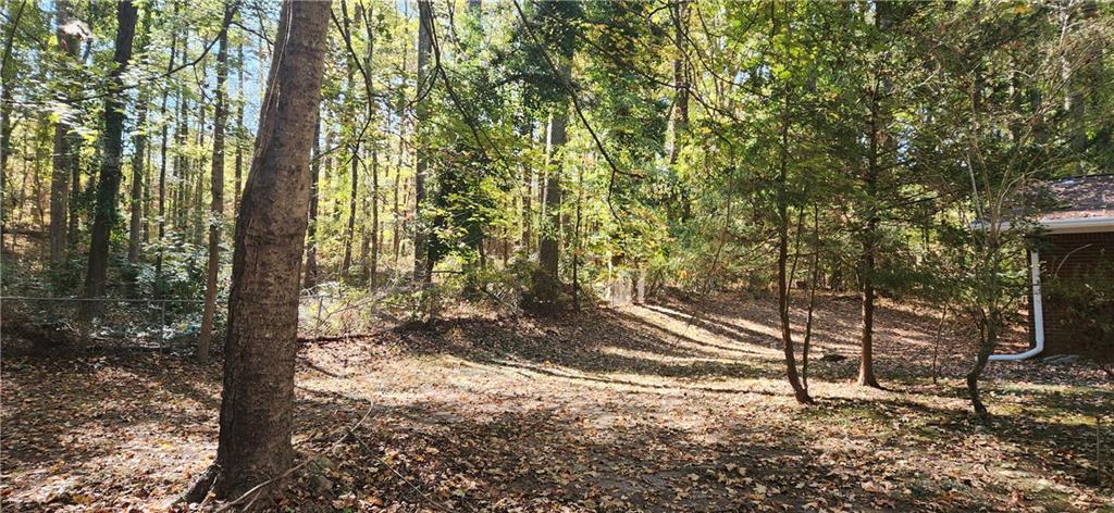 3140 Flat Shoals Road Atlanta, GA 30349 - Photo 16 of 16 a view of backyard space