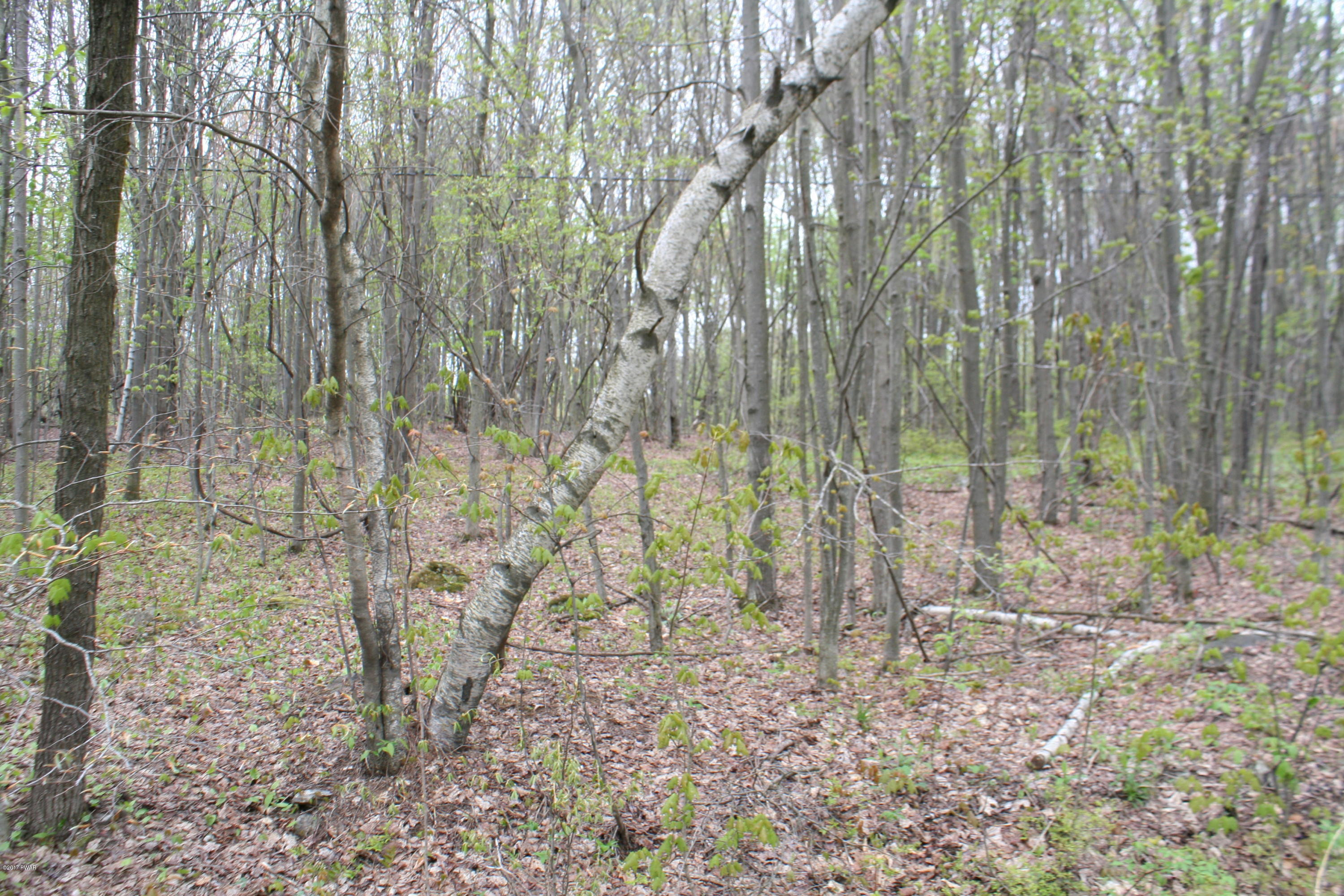 249 North Smith Road Waymart, PA 18472 - Photo 3 of 9