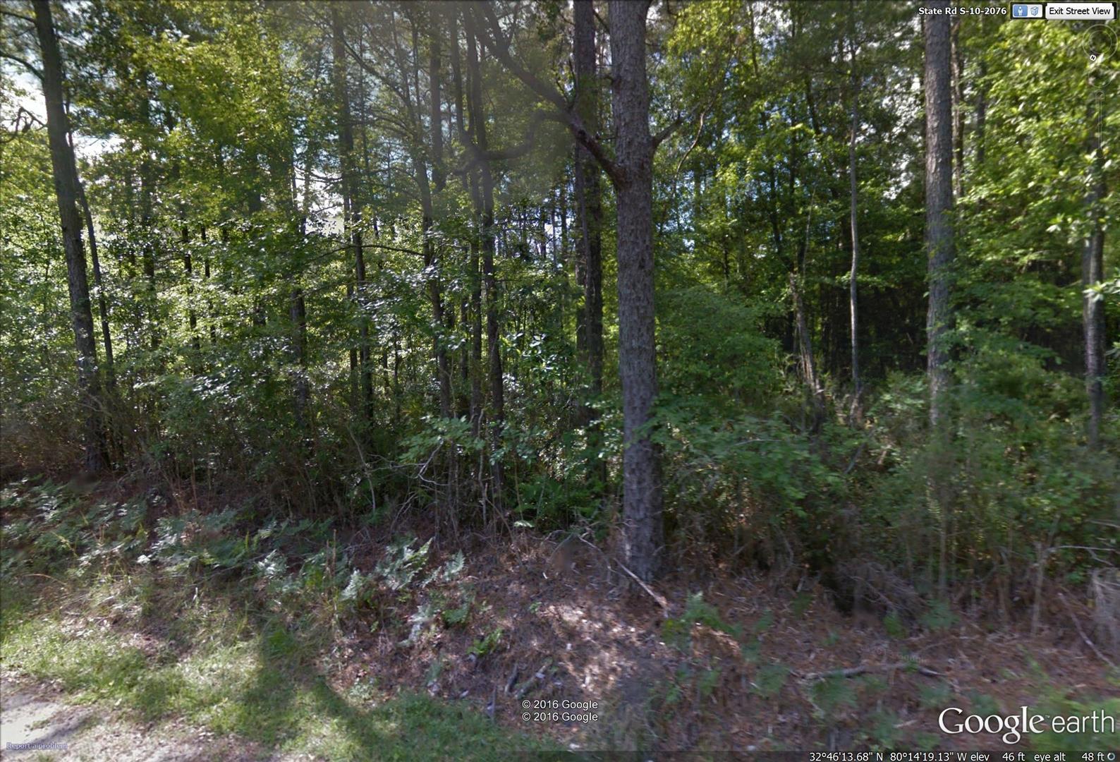 6129 State Rd S-10-2076 Ravenel, SC 29470 - Photo 6 of 6 street view1 (Large)