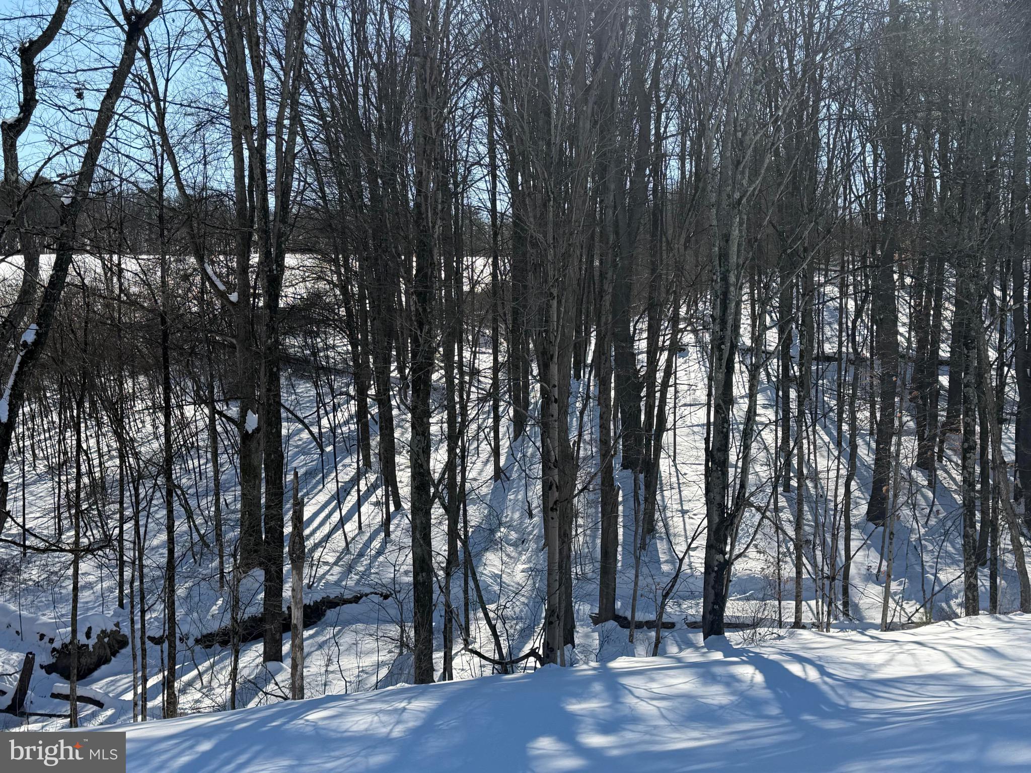 425 Cider Press Road Lock Haven, PA 17745 - Photo 3 of 38 a view of outdoor space and yard
