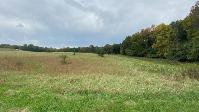 $34,000 | L1-b2 L1-b2 83rd Street Northeast, Spicer, MN 56288