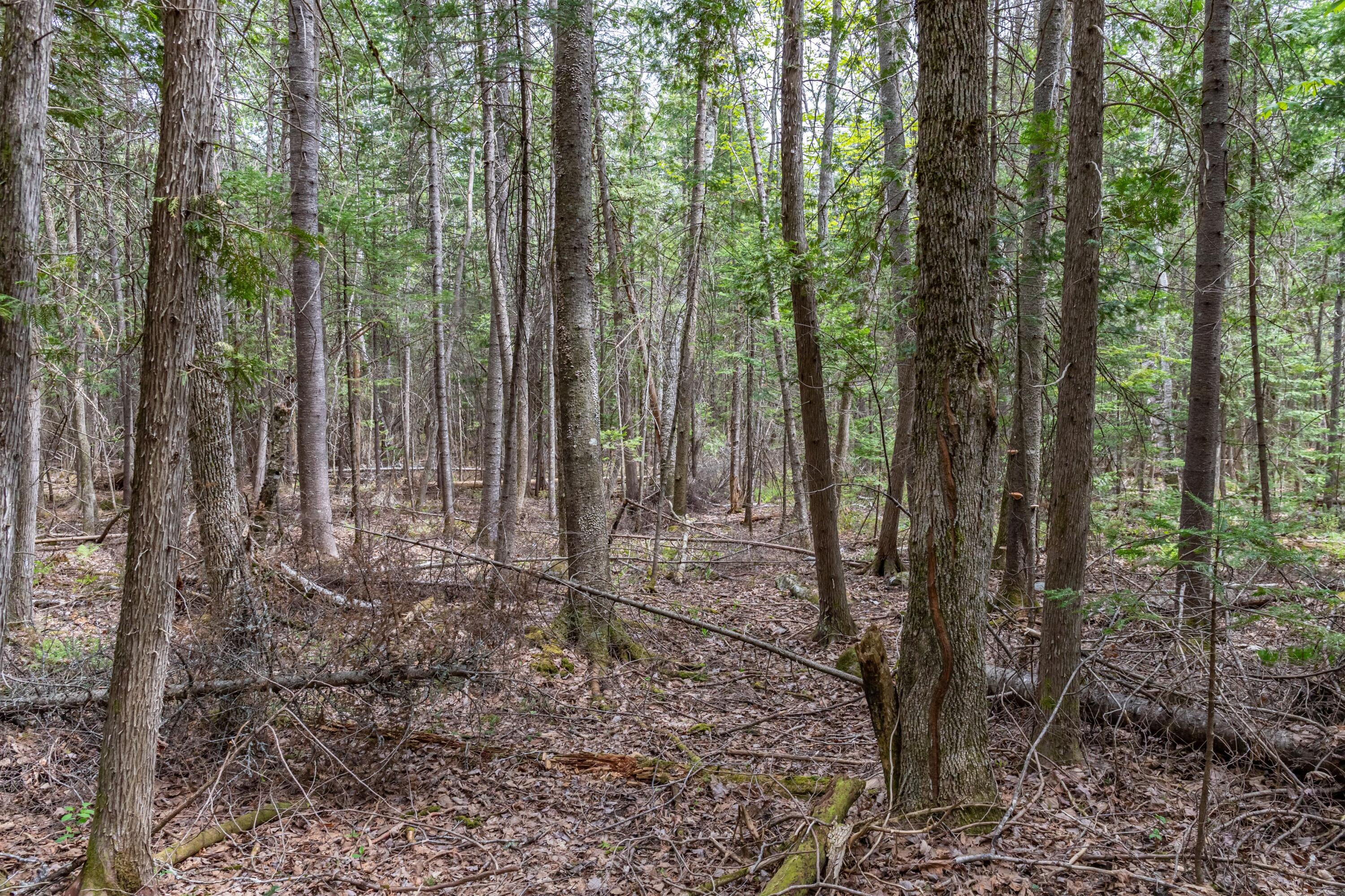 Lot 5-32 Mason Corner Road St. Albans, ME 04971 - Photo 27 of 33 393 Mason Corner Road Exteriors-55