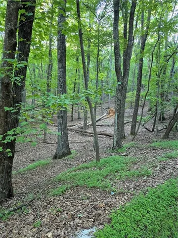 a green field with lots of trees
