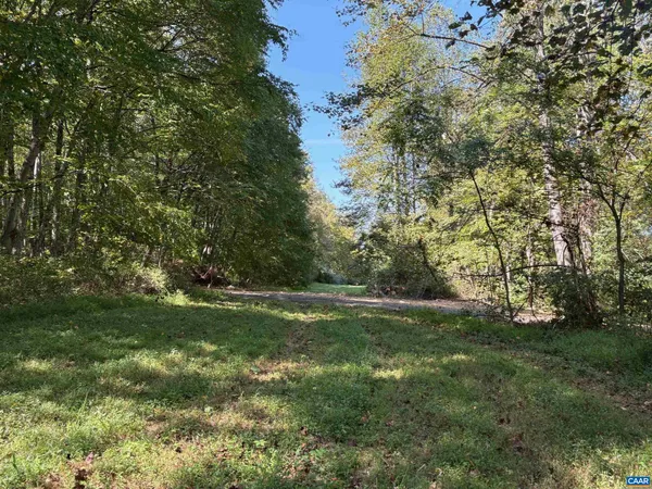 a view of a field with a tree