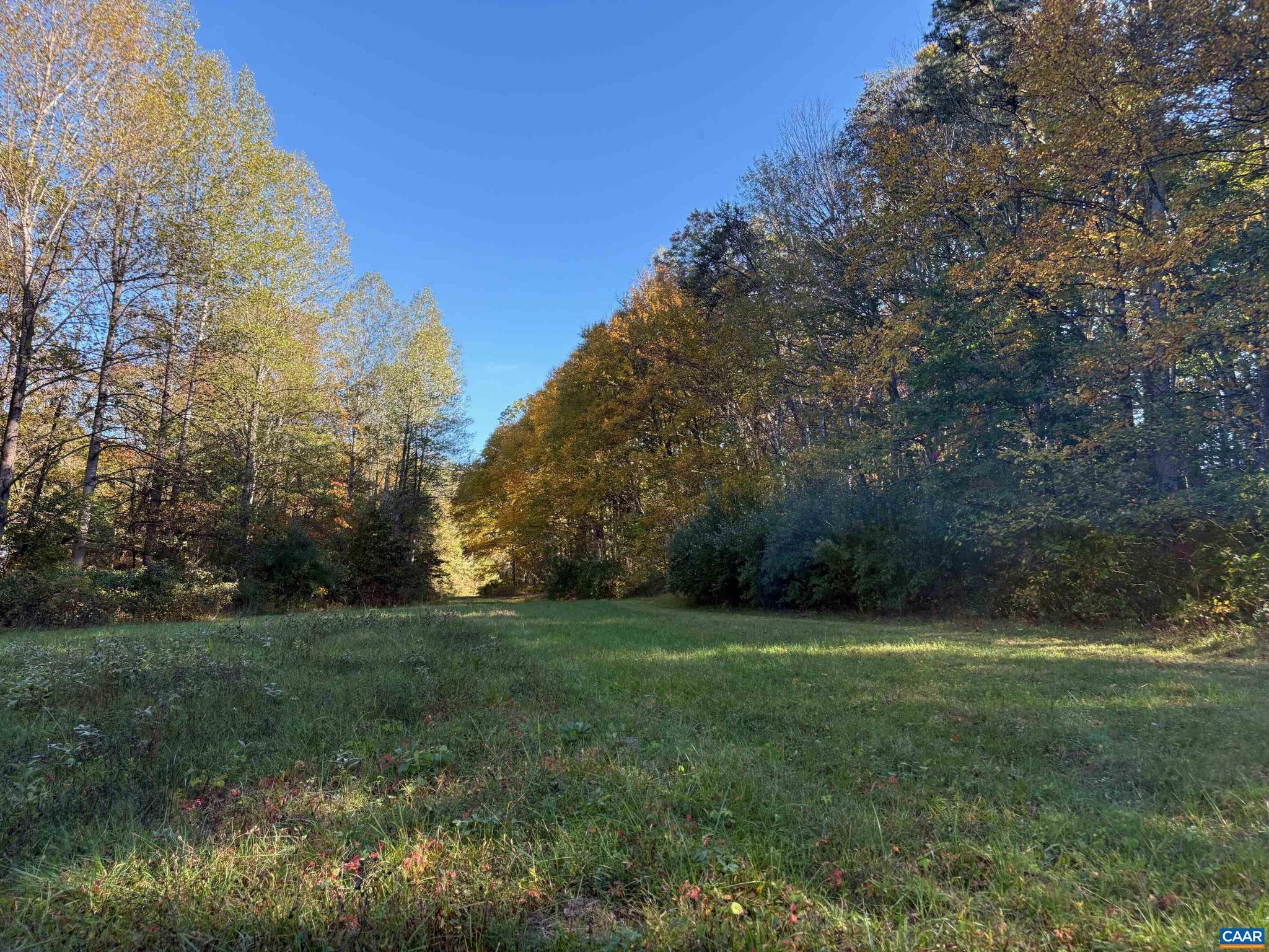 Lot E West Hoover Road, Unit E Reva, VA 22735 - Photo 7 of 9
