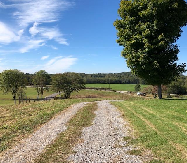 625 Cairo Bend Road Lebanon, TN 37087 - Photo 1 of 2 a view of a lake with a yard