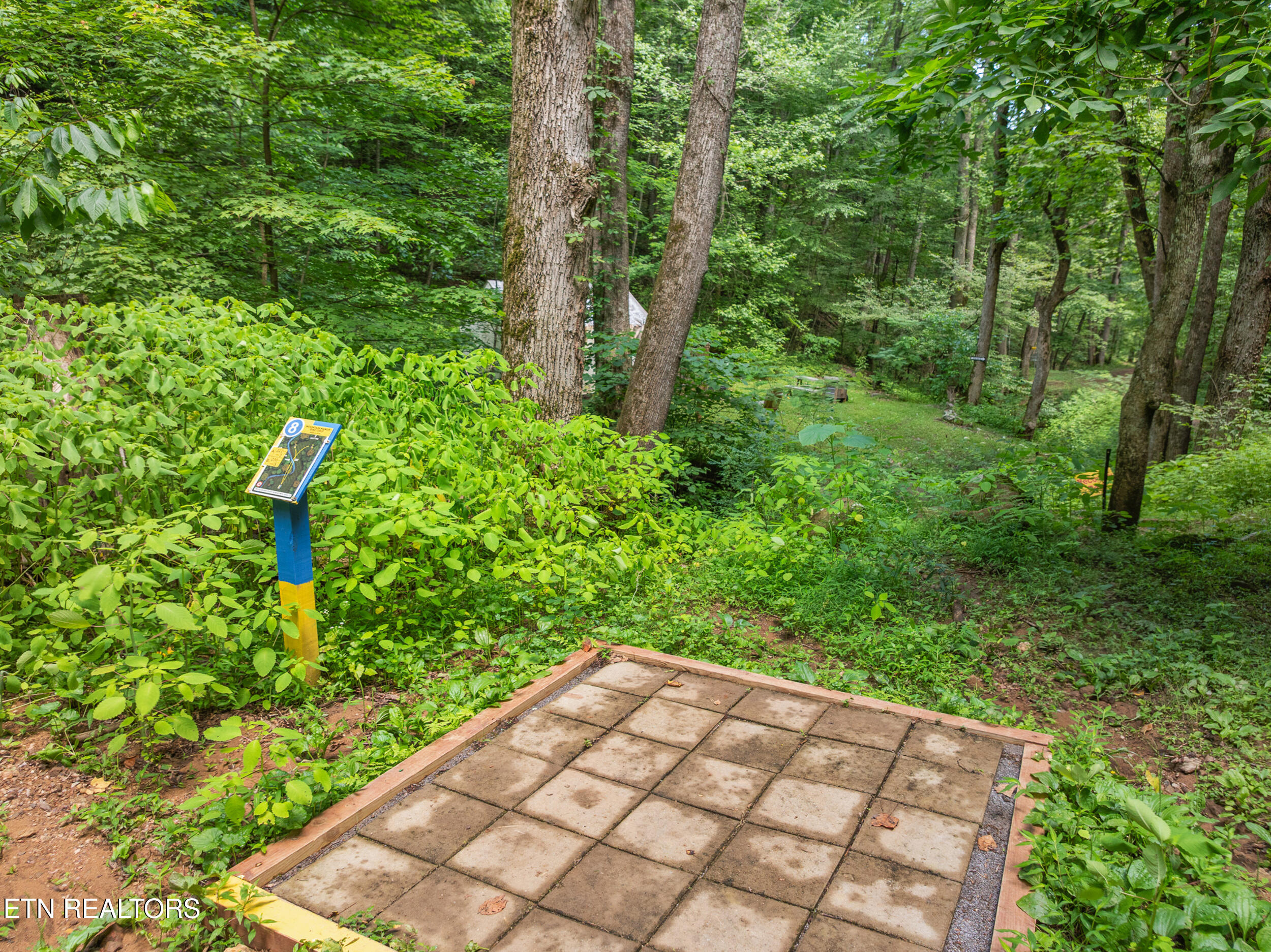 2792 Happy Hollow Road Sevierville, TN 37862 - Photo 32 of 59 47_2792 happy hollow-42