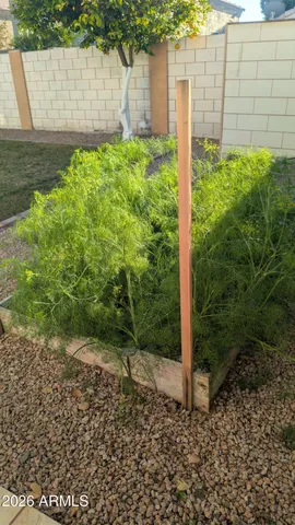 $548,000 | 1871 East Buffalo Street, Chandler, AZ 85225