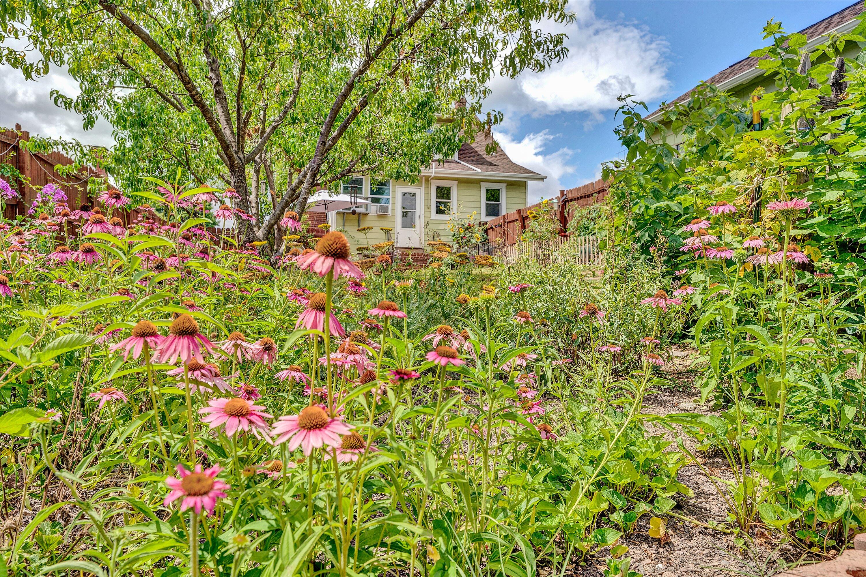 2416 Lofton Road Southwest Roanoke, VA 24015 - Photo 44 of 54 49-DSC06733