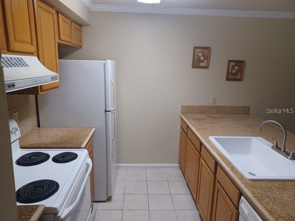701 Perkins Street, Unit 203 Leesburg, FL 34748 - Photo 6 of 13 a kitchen with a cabinets and sink