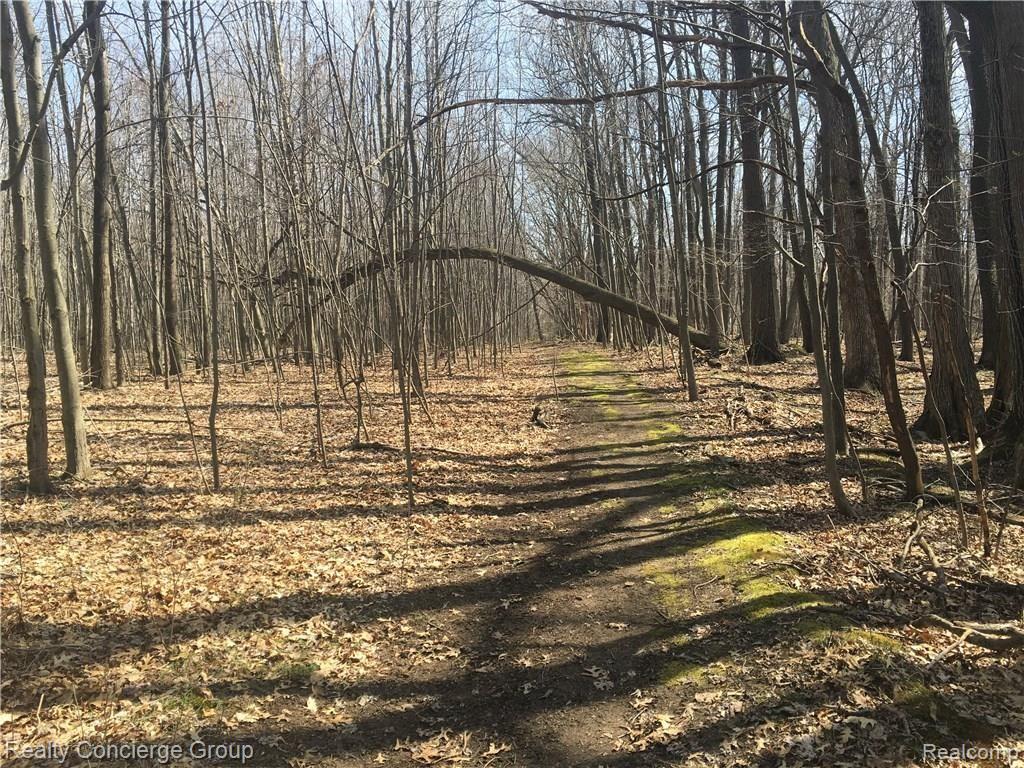 2549 Cinnamon Ridge Road Howell, MI 48855 - Photo 24 of 39 03.jpg