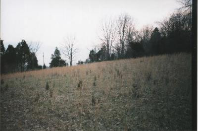603 Vienna Road Winchester, KY 40391 - Photo 1 of 1 Photo 1