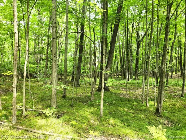 $7,000 | 0 Red Fox Run, Farwell, MI 48622